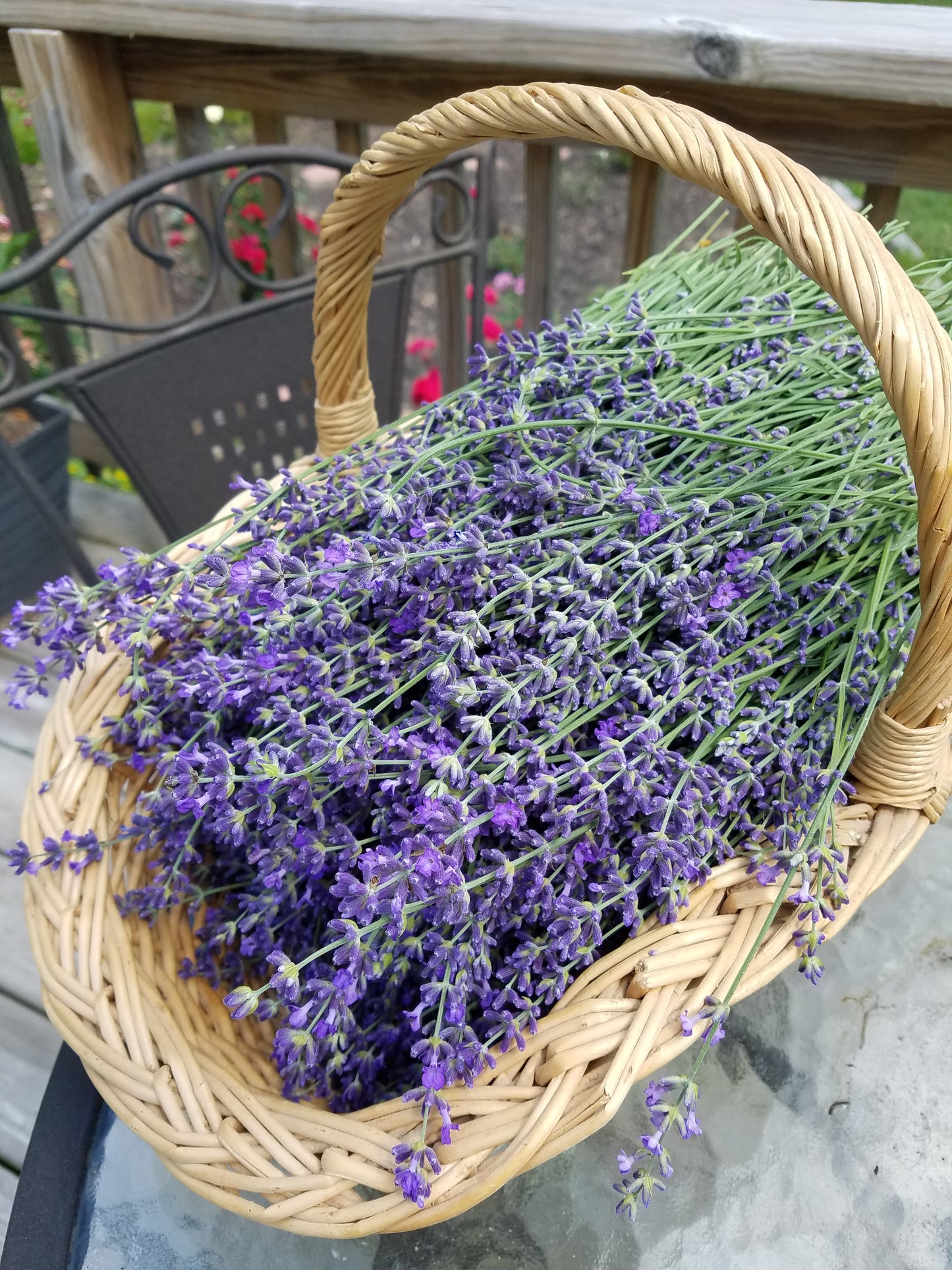 Freshly picked