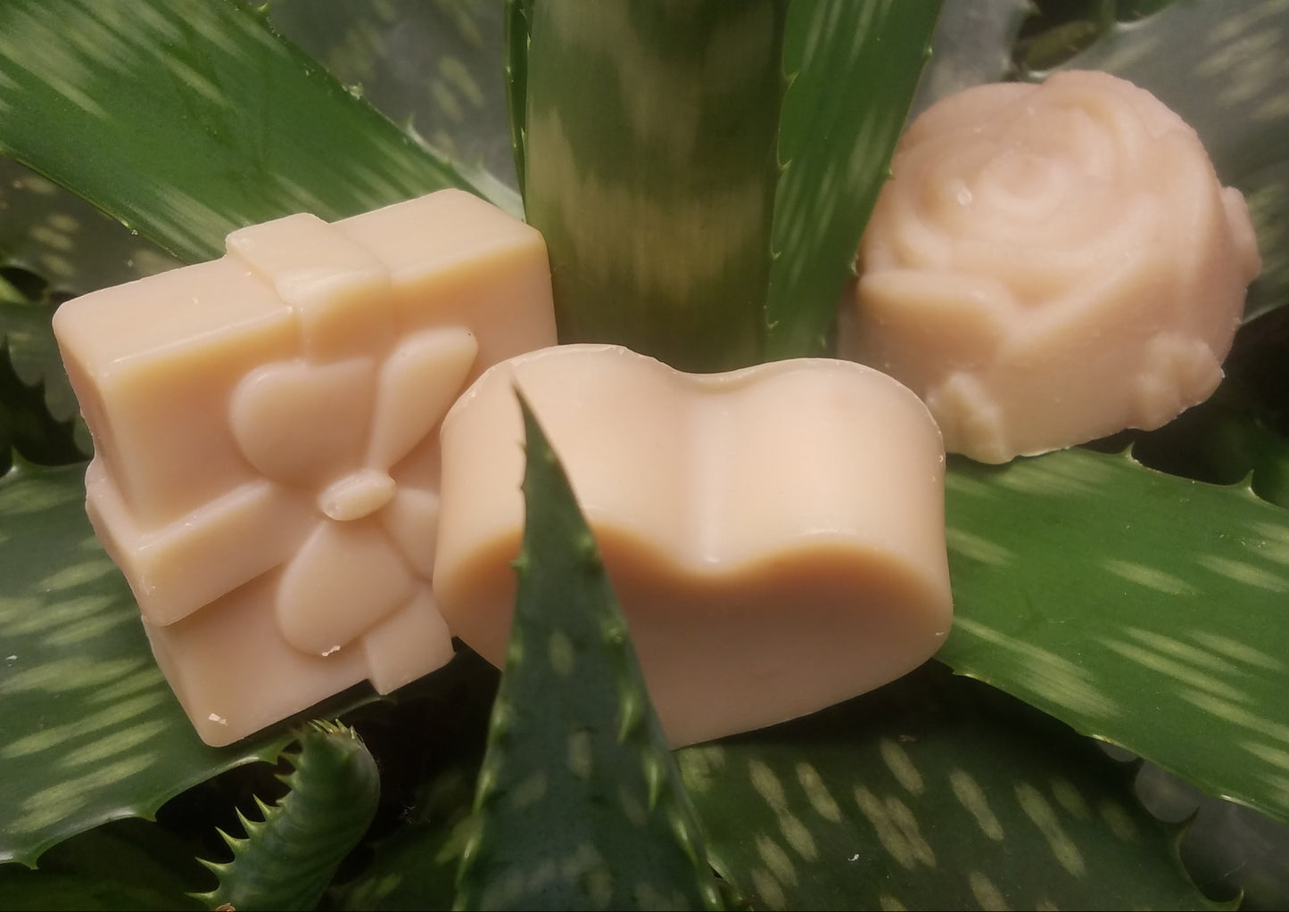 Aloe & Eucalyptus Shampoo and Body Bar