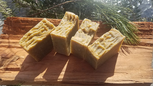 Northwoods Soap