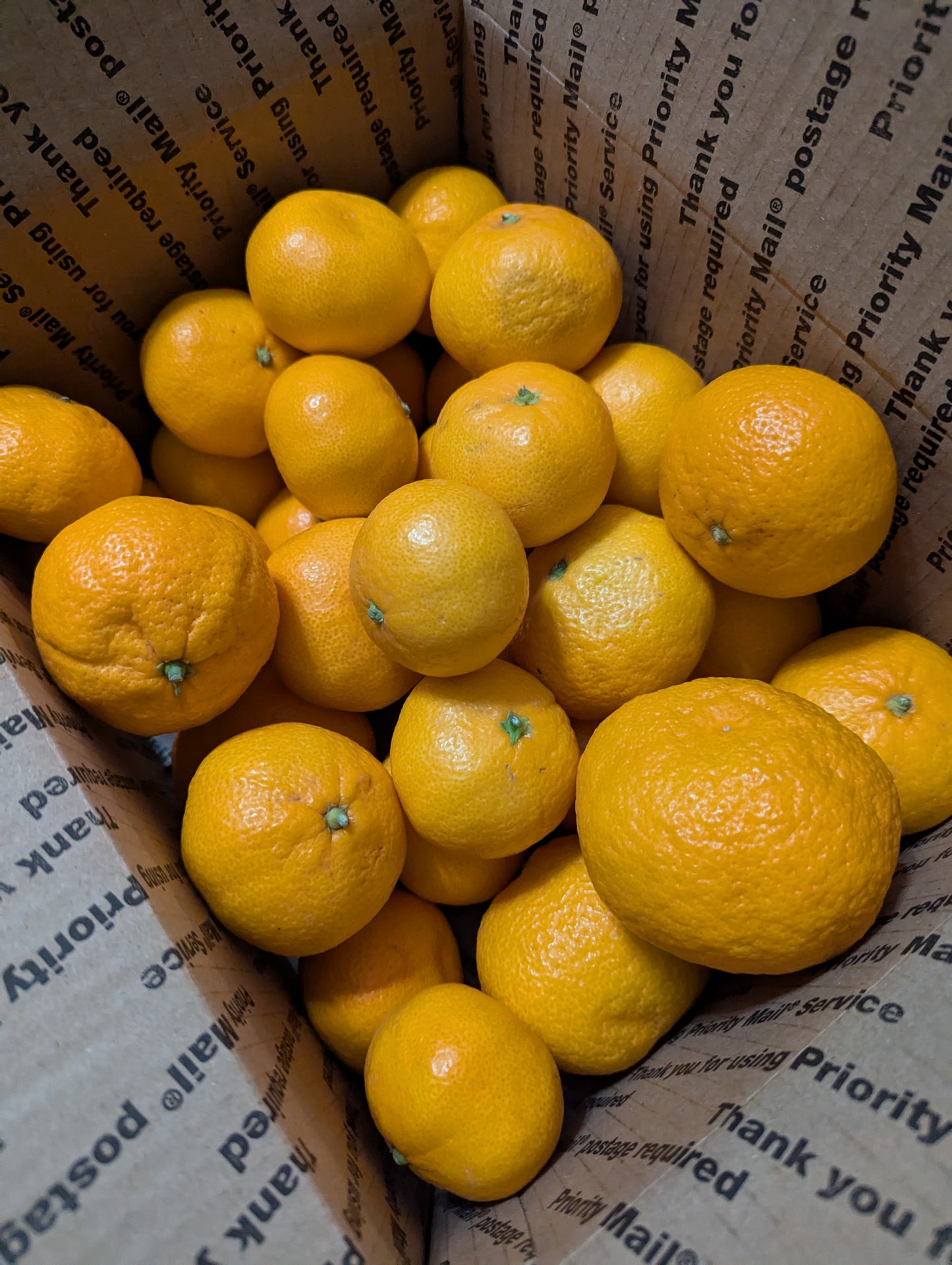 Fresh Organic Mandarins